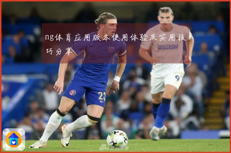 ng体育应用版本使用体验及实用技巧分享