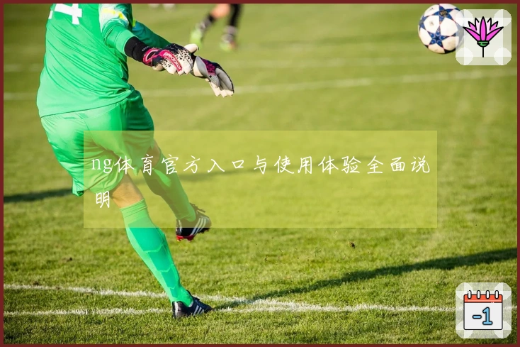 ng体育官方入口与使用体验全面说明