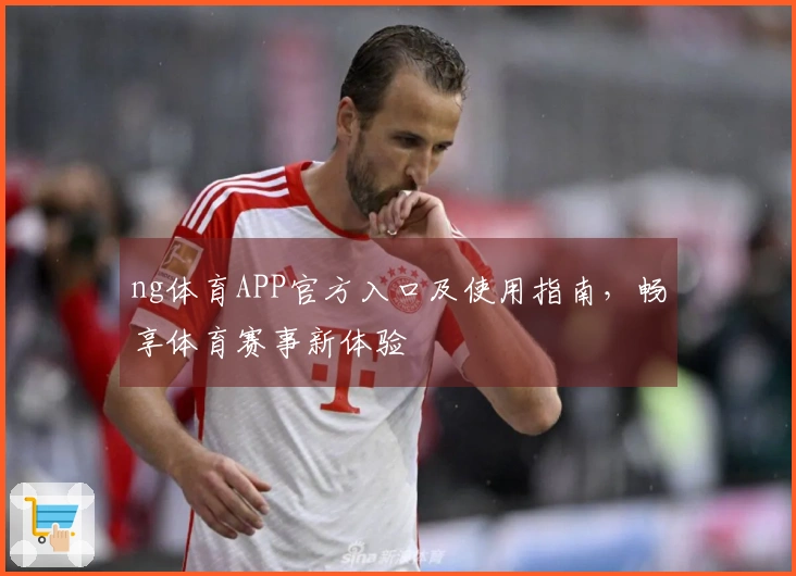 ng体育APP官方入口及使用指南，畅享体育赛事新体验