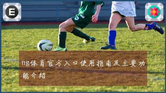 ng体育官方入口使用指南及主要功能介绍