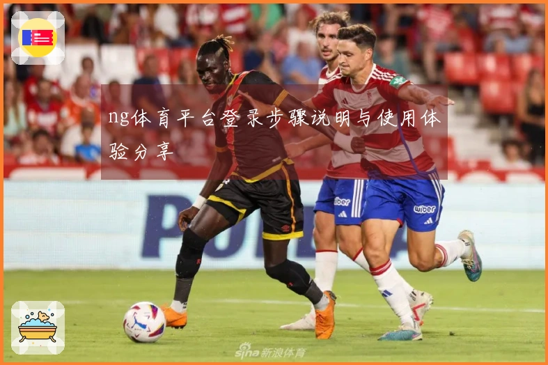 ng体育平台登录步骤说明与使用体验分享