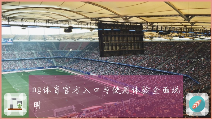 ng体育官方入口与使用体验全面说明