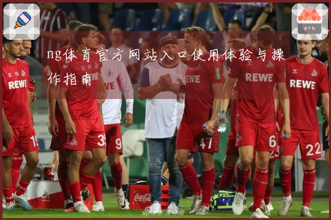 ng体育官方网站入口使用体验与操作指南