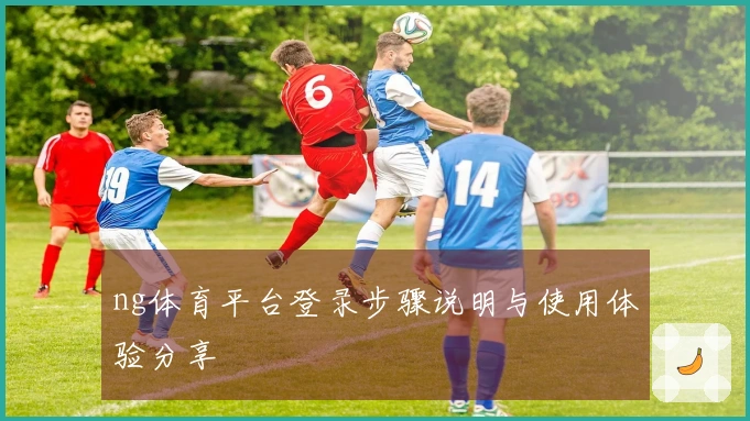 ng体育平台登录步骤说明与使用体验分享