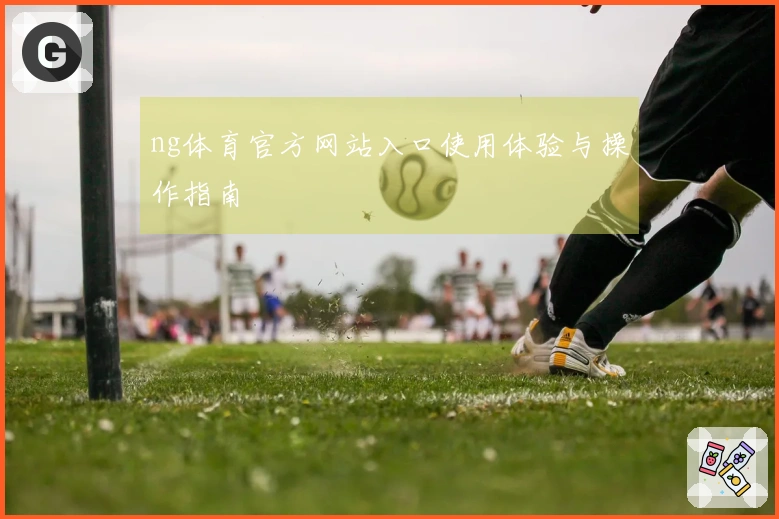 ng体育官方网站入口使用体验与操作指南