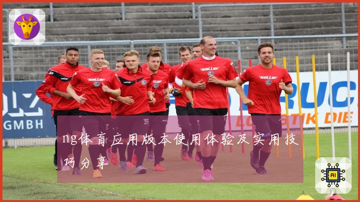 ng体育应用版本使用体验及实用技巧分享